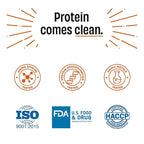 The Whole Truth Whey Protein Isolate+Concentrate Light Cocoa 2 kg (4.4 lbs)